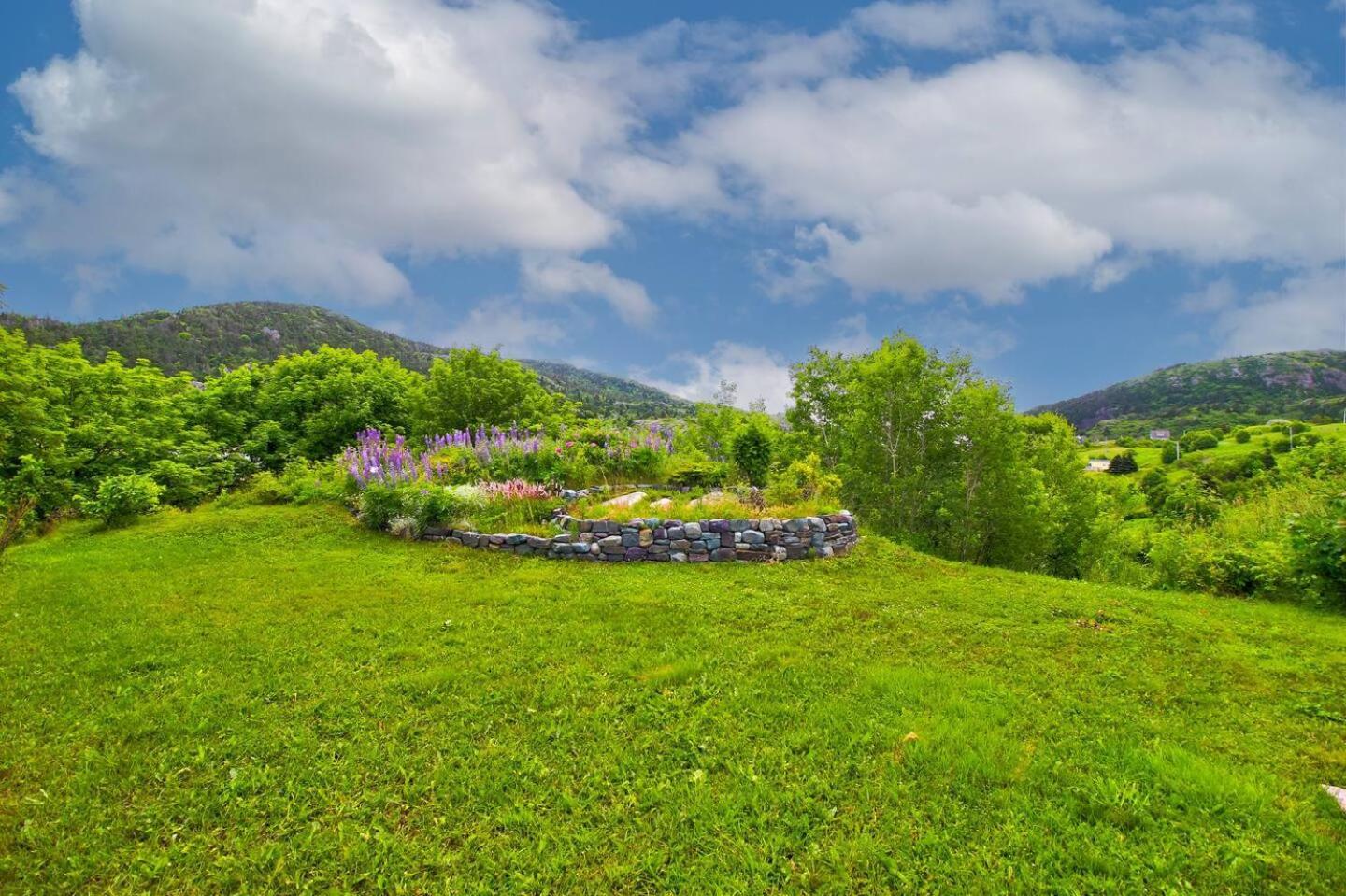 Villa The Vista At Quidi Vidi - Stunning Views & Trails St. John's Exterior foto